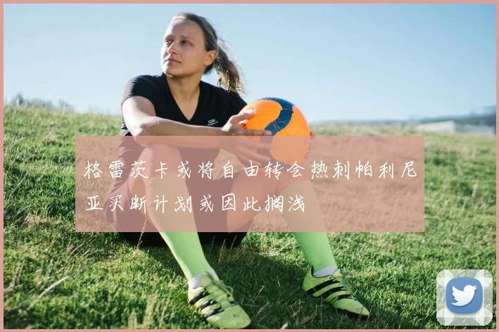 格雷茨卡或将自由转会热刺帕利尼亚买断计划或因此搁浅