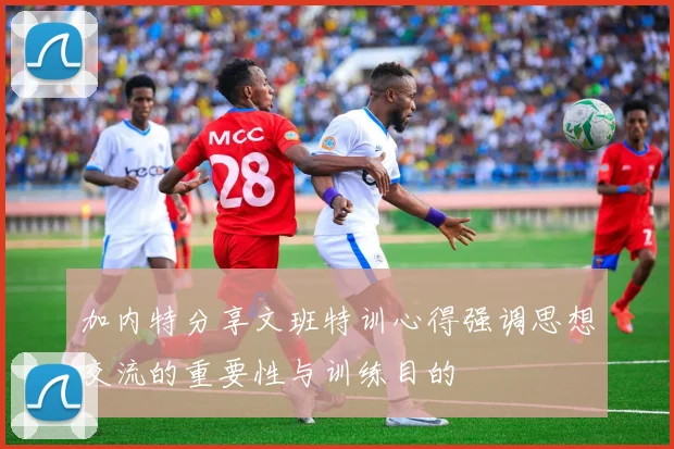 加内特分享文班特训心得强调思想交流的重要性与训练目的