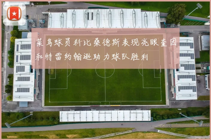 菜鸟球员科比桑德斯表现亮眼奎因和特雷约翰逊助力球队胜利